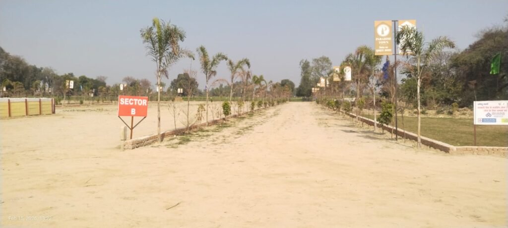 paradise town plot